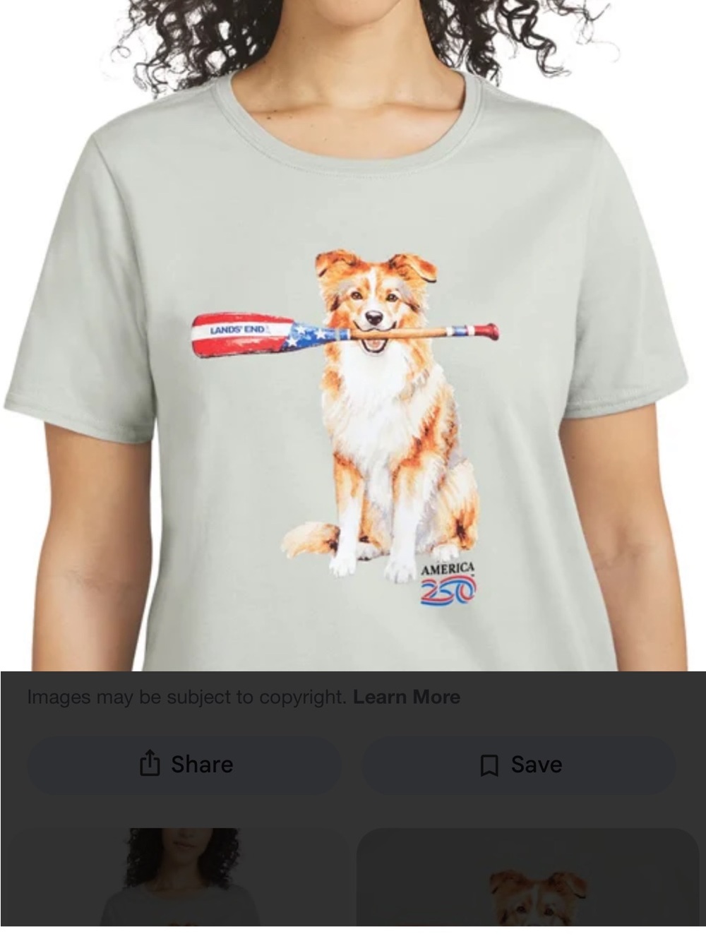 Lands' End Light Gray Tee with Dog Holding American Paddle - Picture 6 of 7